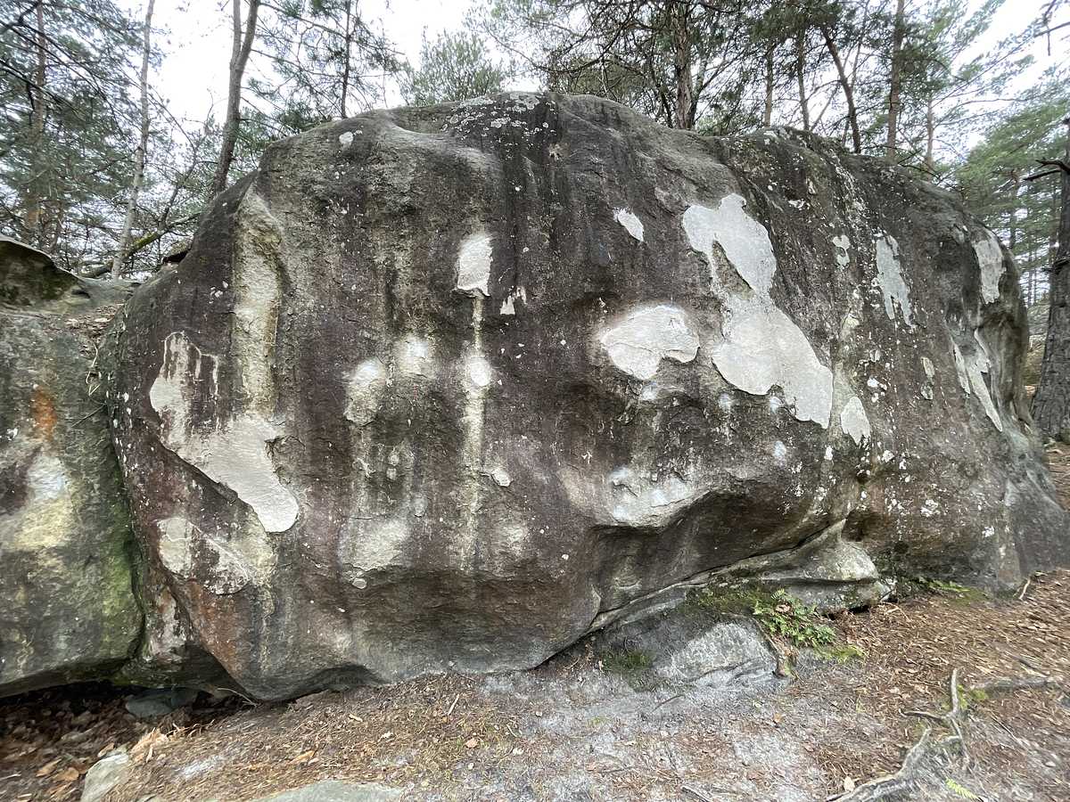 La Gratouille – Bois Rond