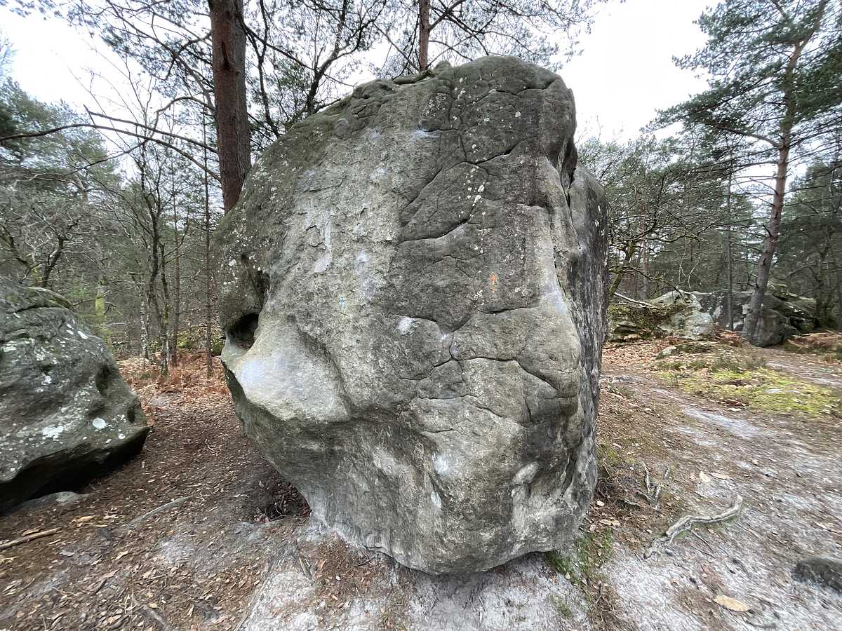 La Calorie – Bois Rond