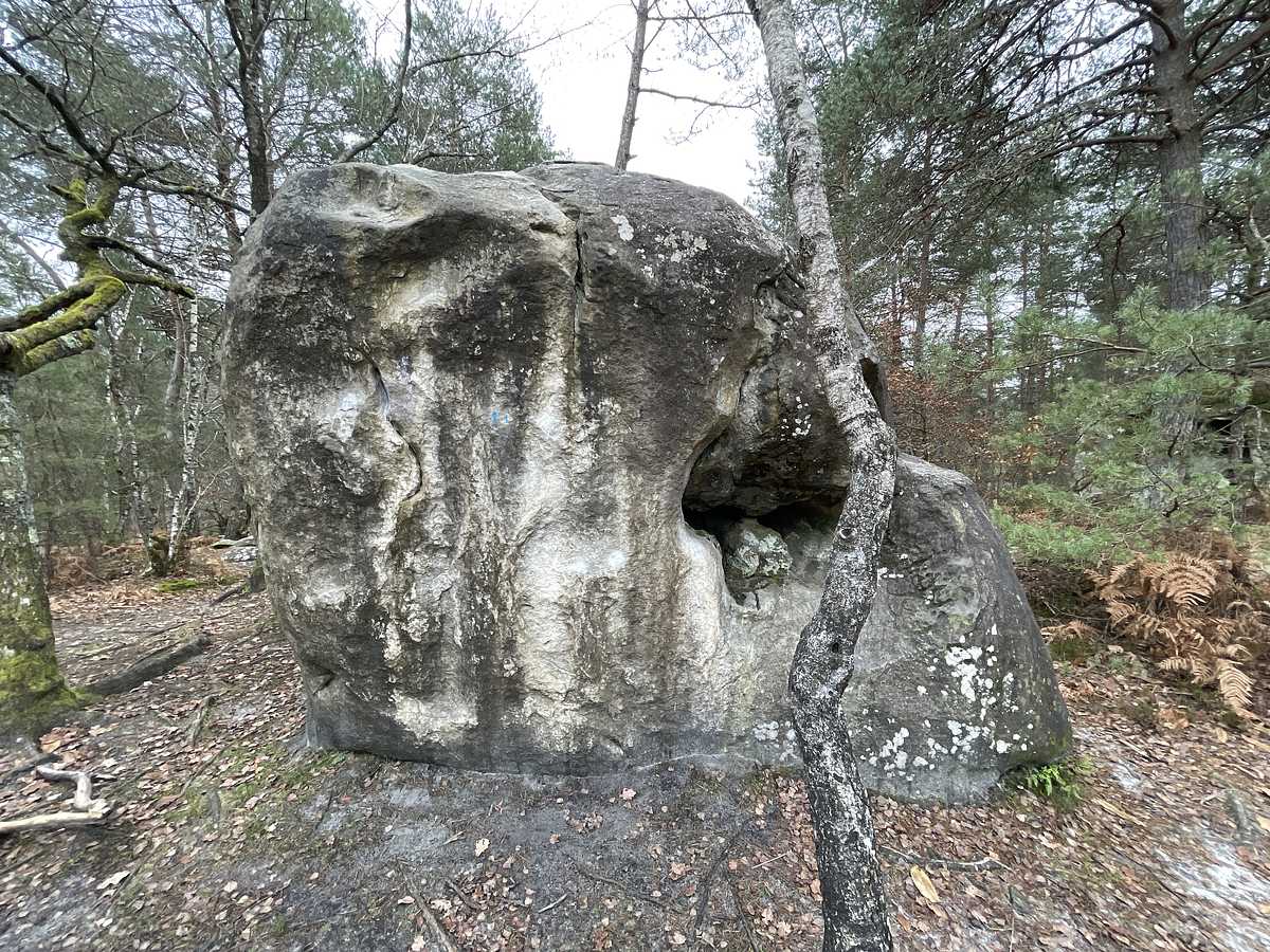 La Polonaise – Bois Rond