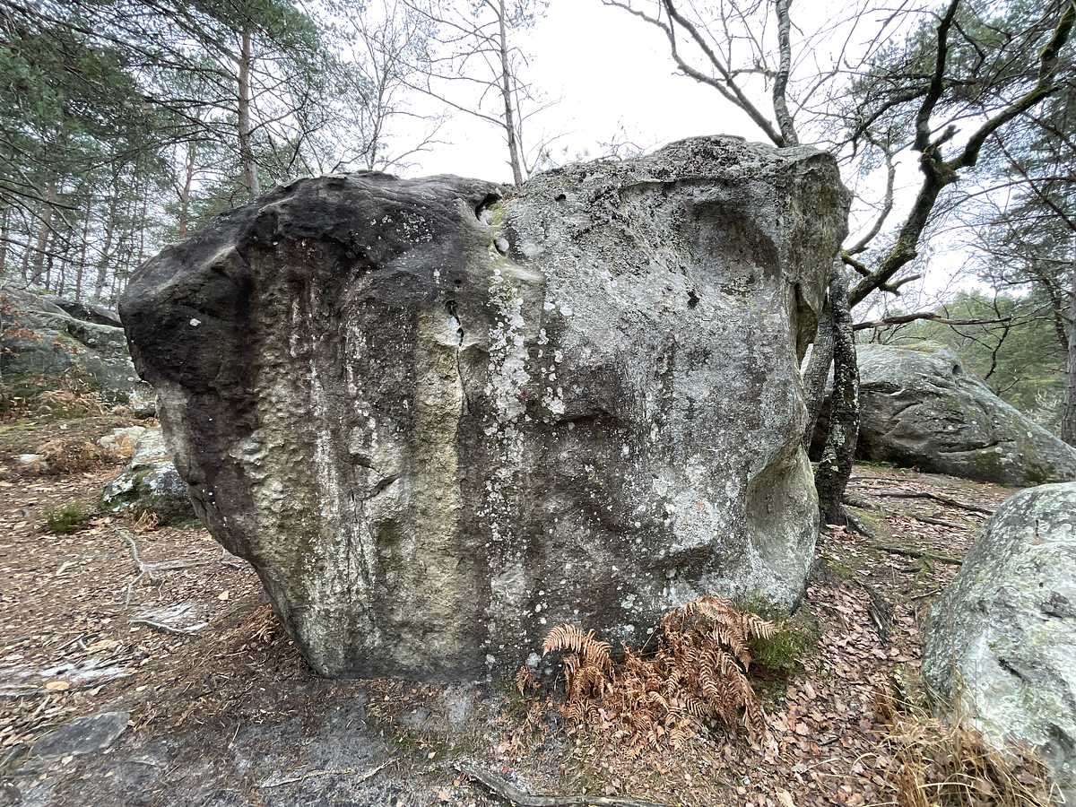 Géométrie Discrète – Bois Rond