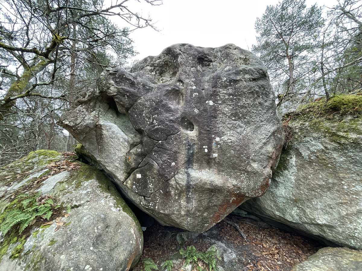 Le Départ Orange – Bois Rond