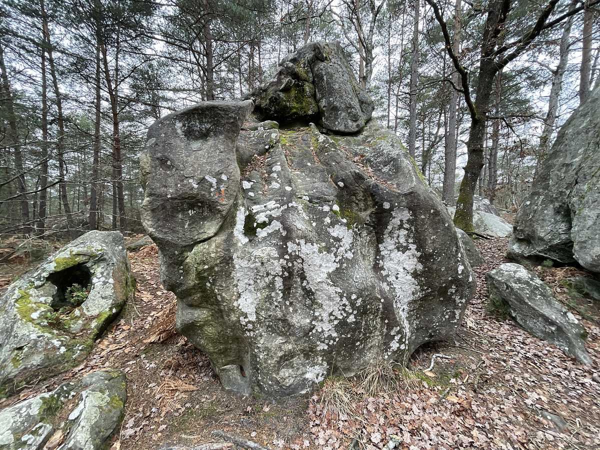 L'Arrivée – Bois Rond