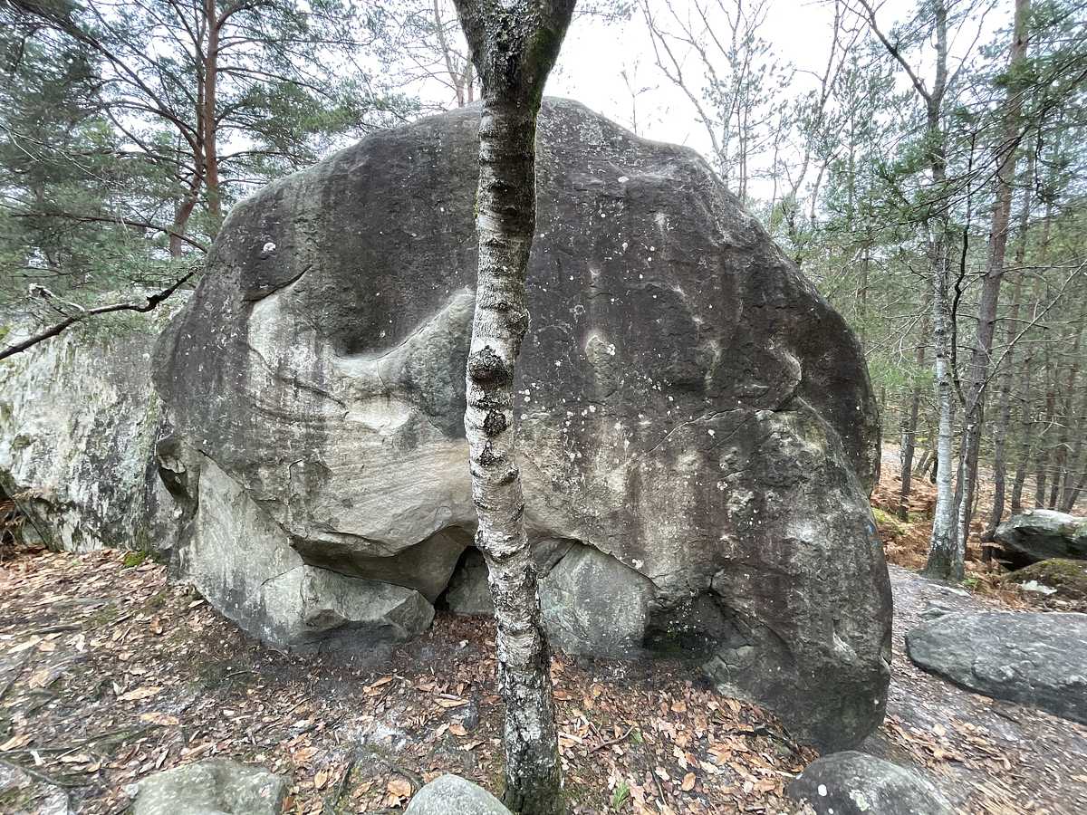 Au Pied Levé – Bois Rond
