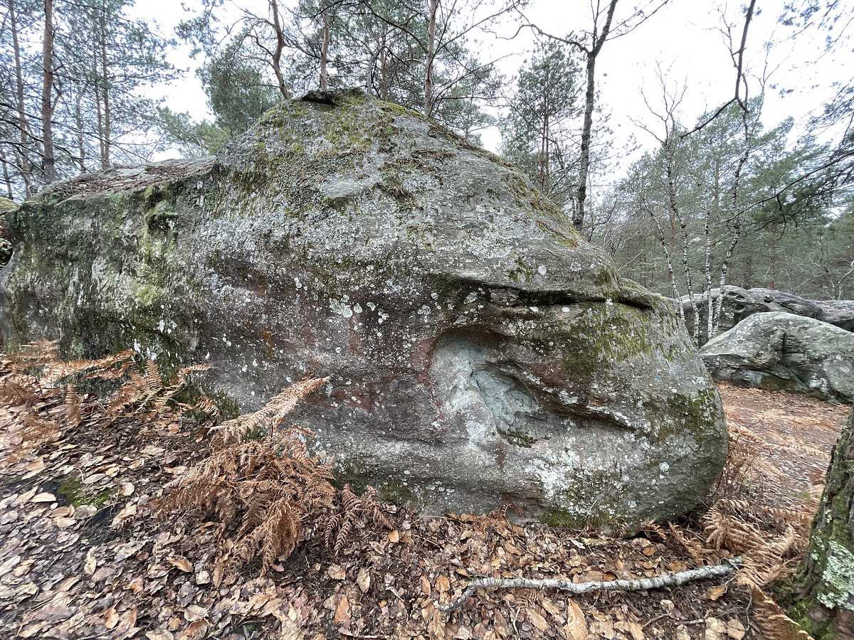 Tourne à Gauche – Bois Rond