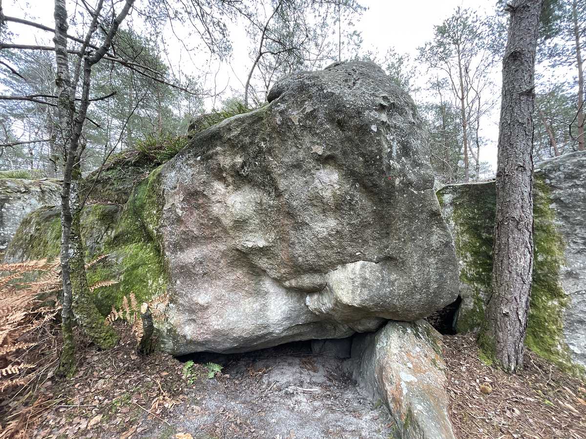 La Mer de la Tranquillité – Bois Rond