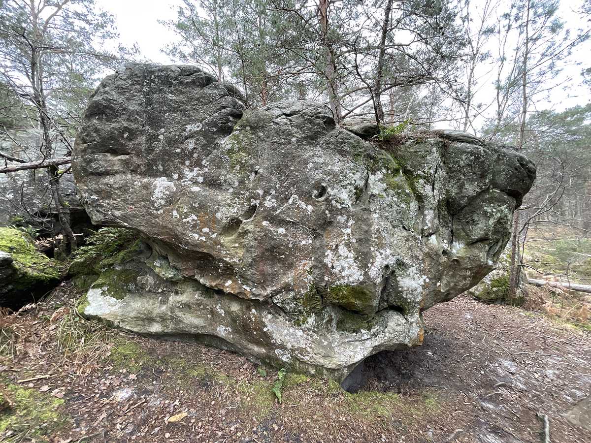 Super Vista – Bois Rond