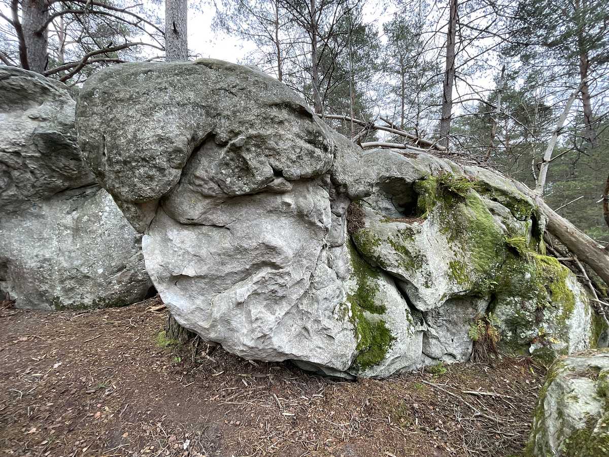 Geyser – Bois Rond