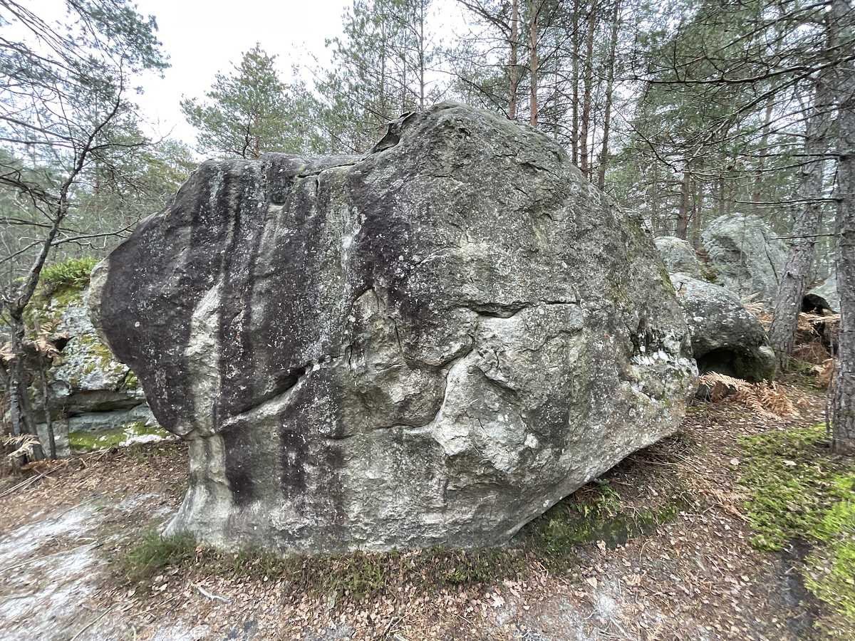 Aéro Beuark – Bois Rond