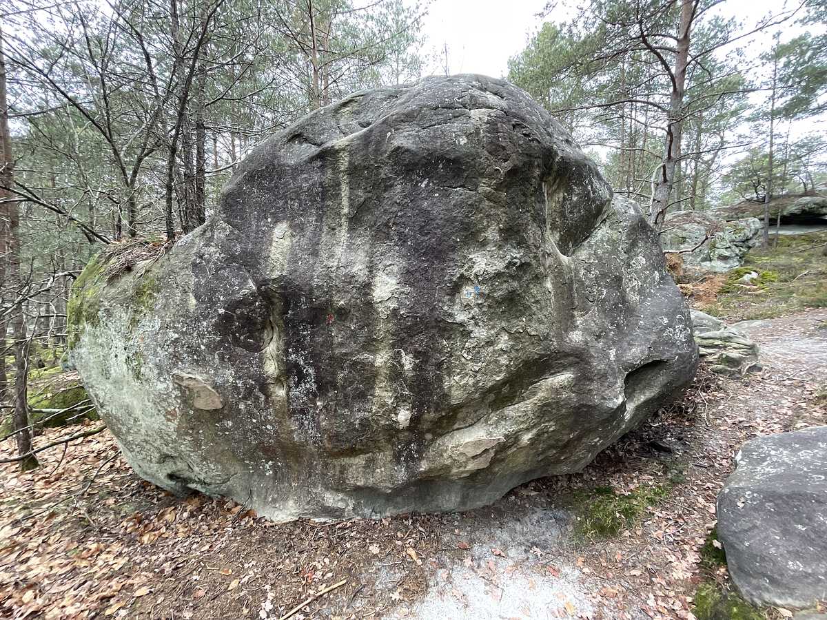 Le Grelot – Bois Rond