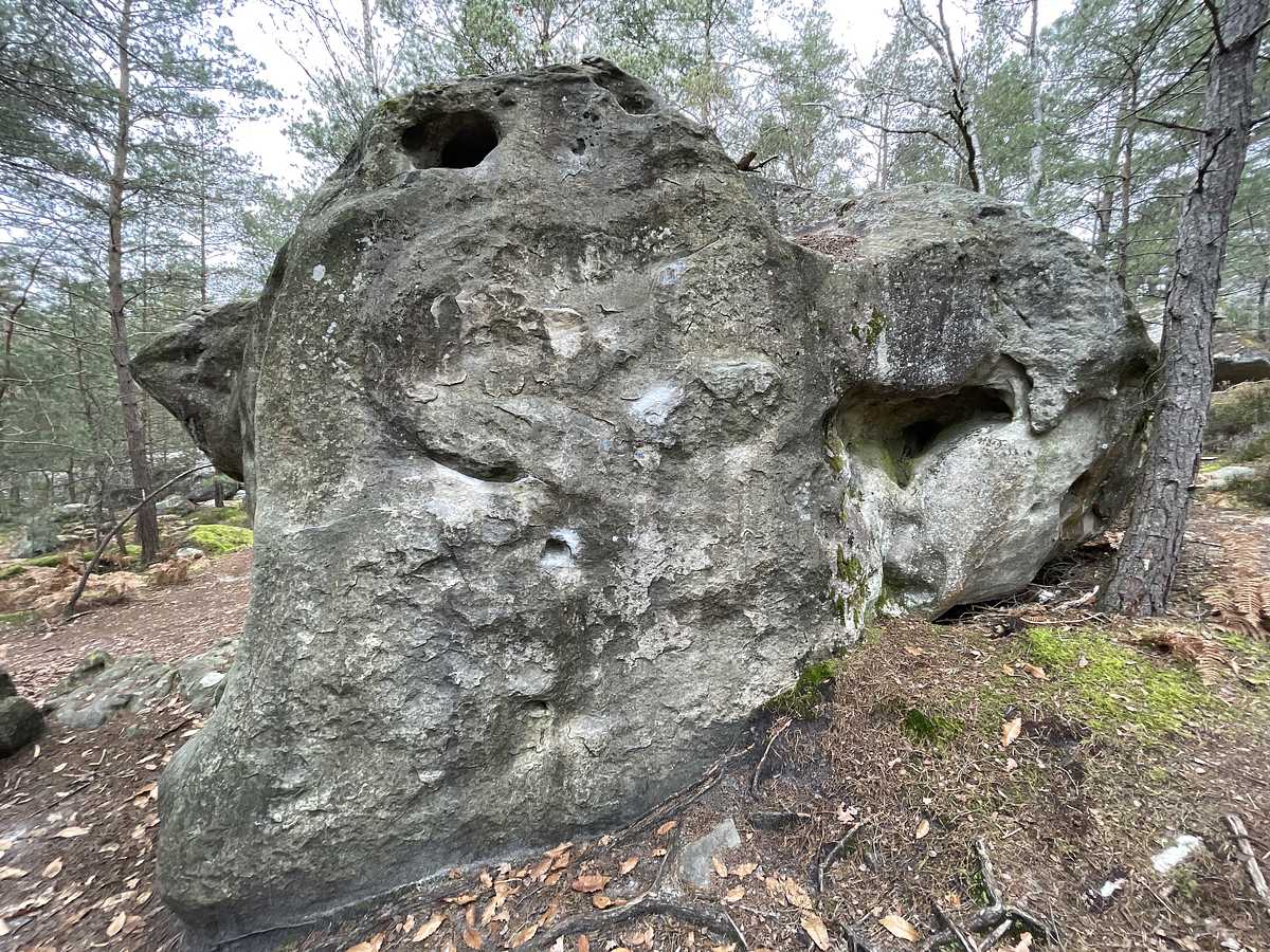 Le Mur Jéricho – Bois Rond