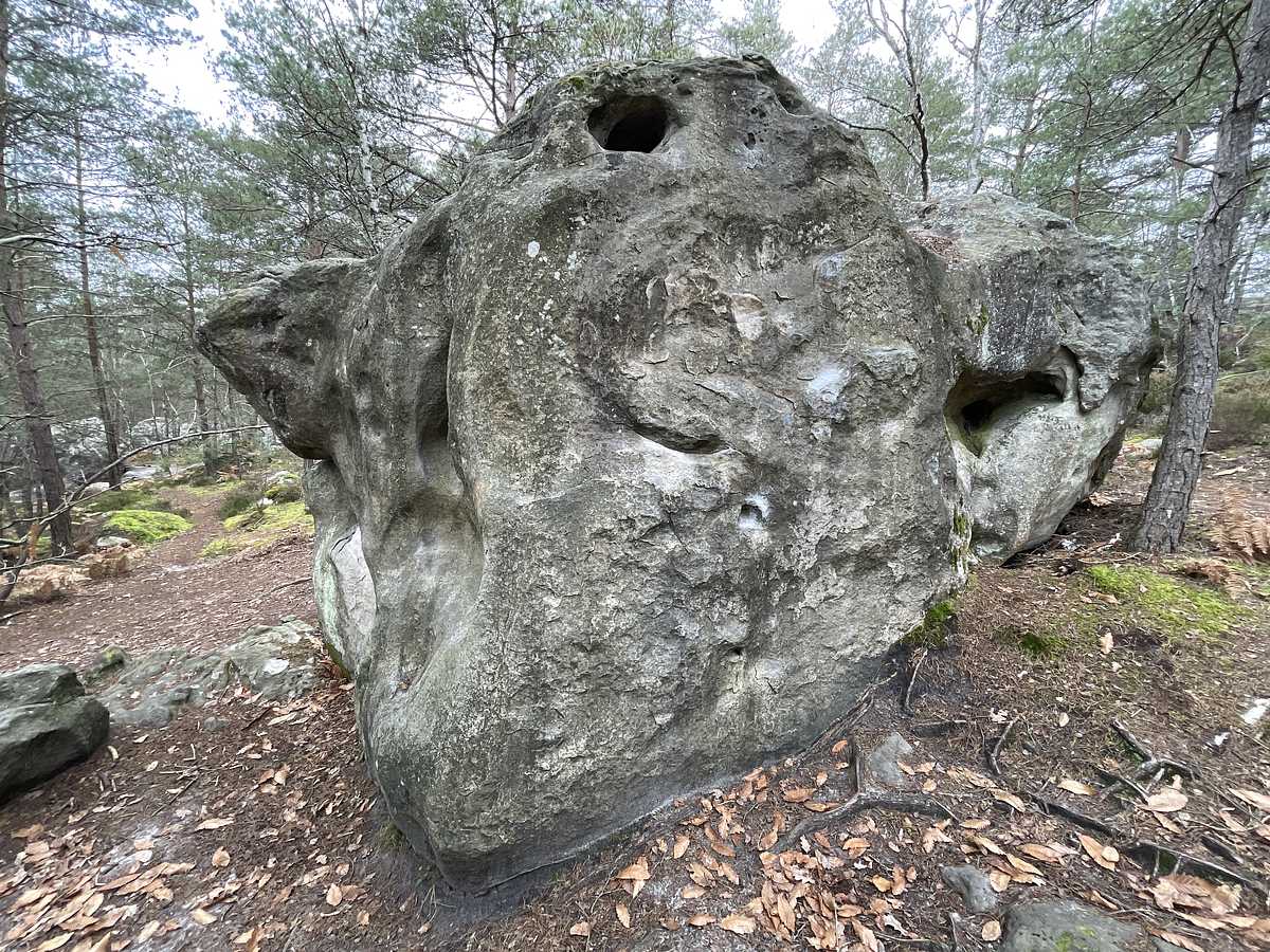 Le Virage – Bois Rond