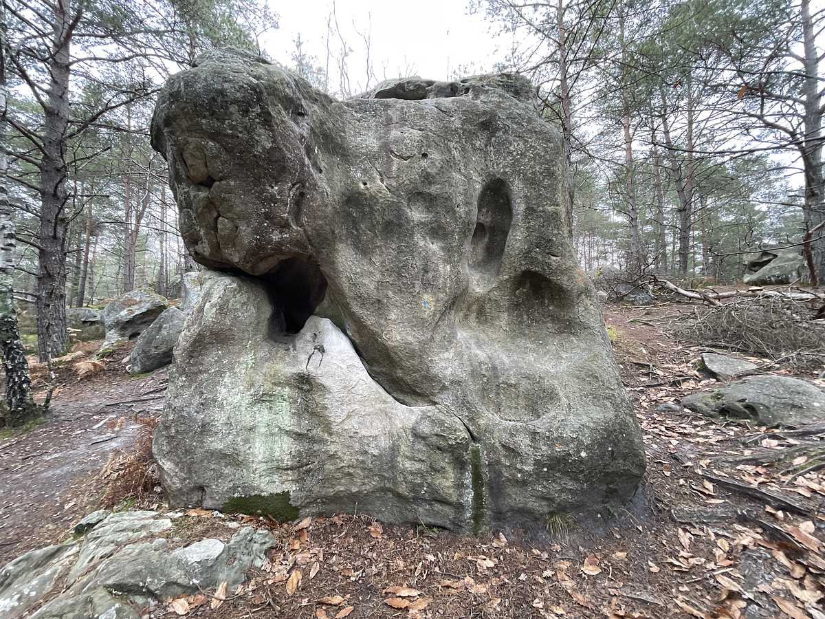 L'Hallelujah – Bois Rond