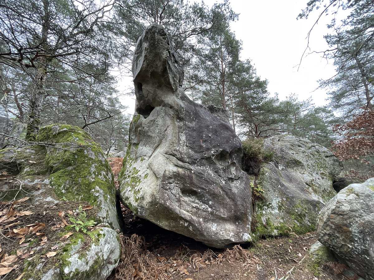 La Biron – Bois Rond
