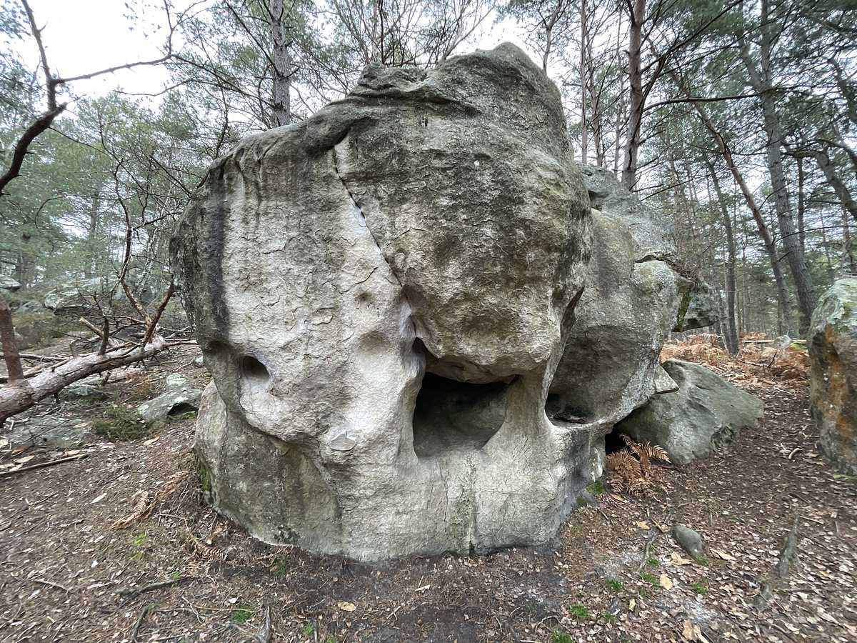 Le Meilleur des Mondes – Bois Rond