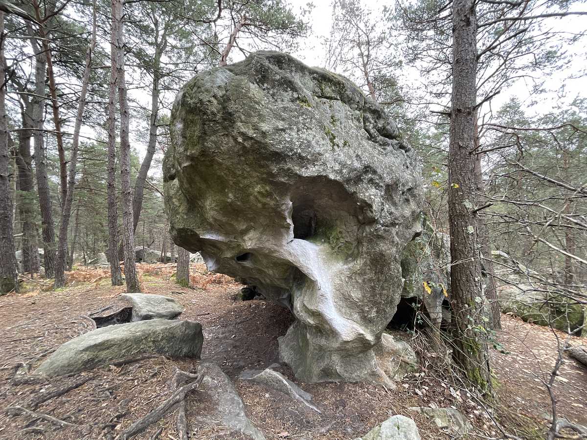 La Théorie des Nuages – Bois Rond