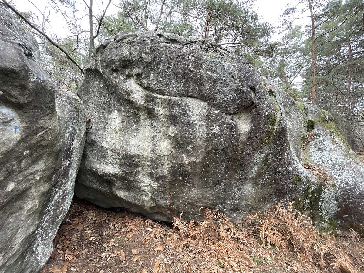 Ponction Lombaire – Bois Rond