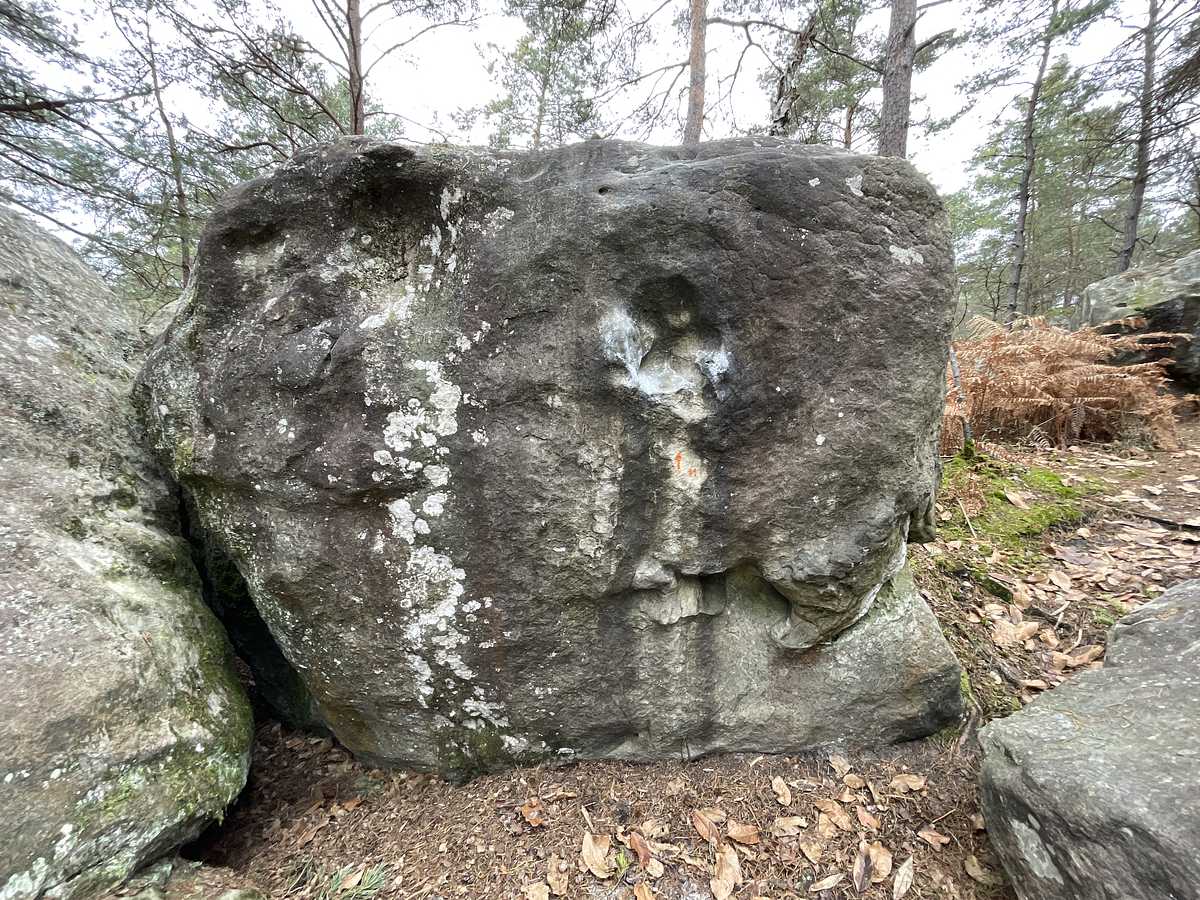 Le Bouche Trou – Bois Rond