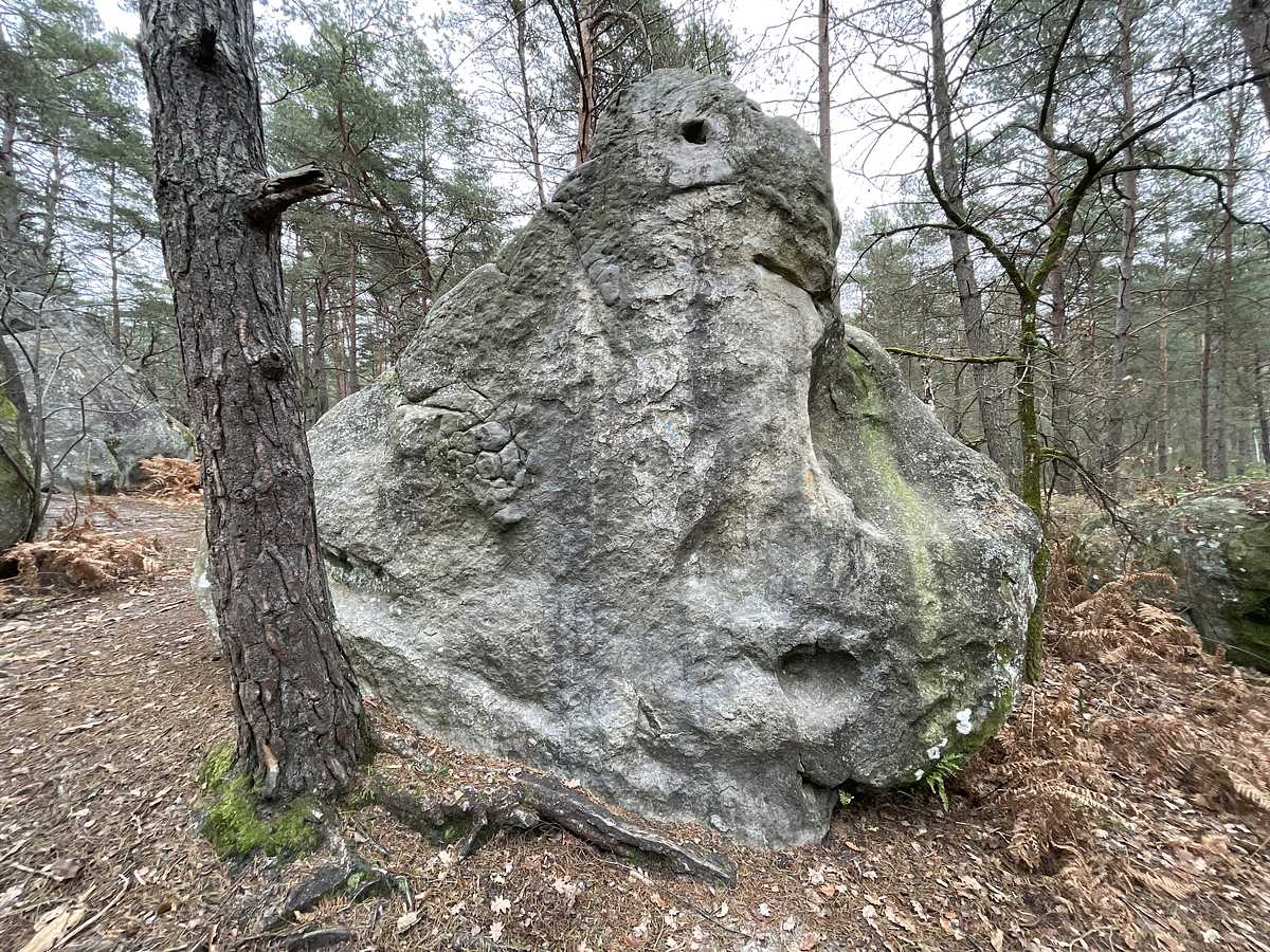 La Tromperie – Bois Rond