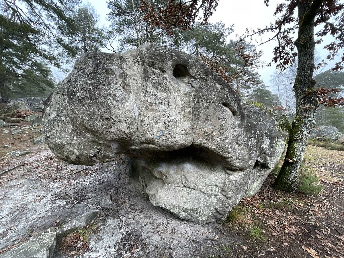 Homo Cavernicus – Rocher Saint-Germain Est