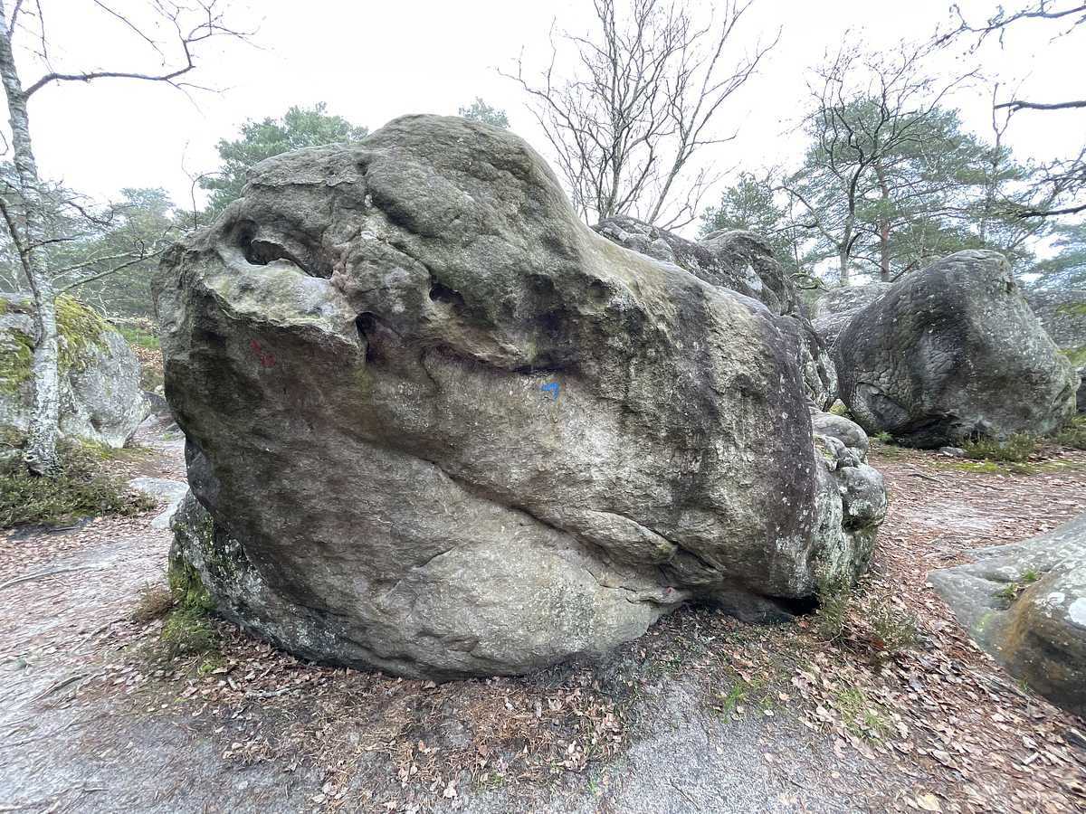 Les Singes Rient – Rocher Saint-Germain Est
