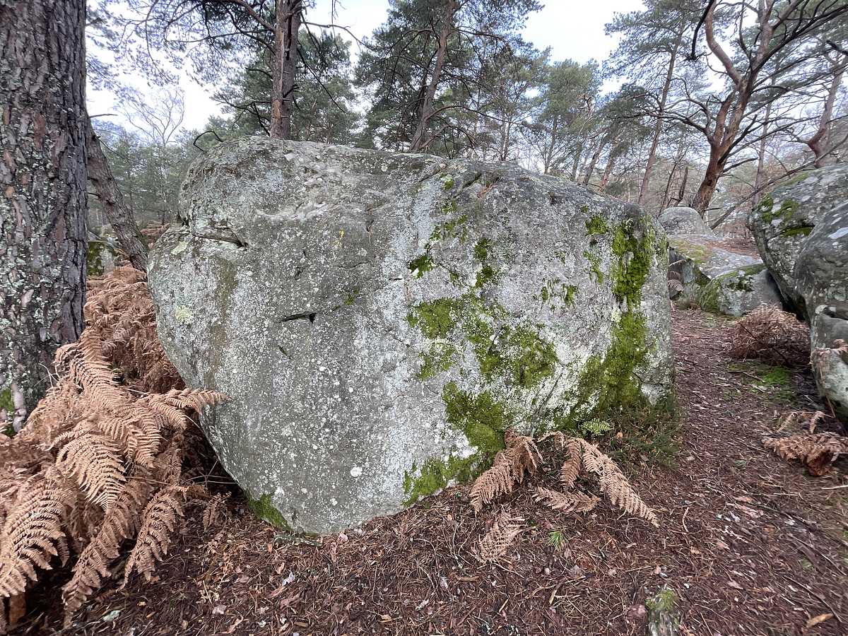 La Gauche – Rocher Saint-Germain Est