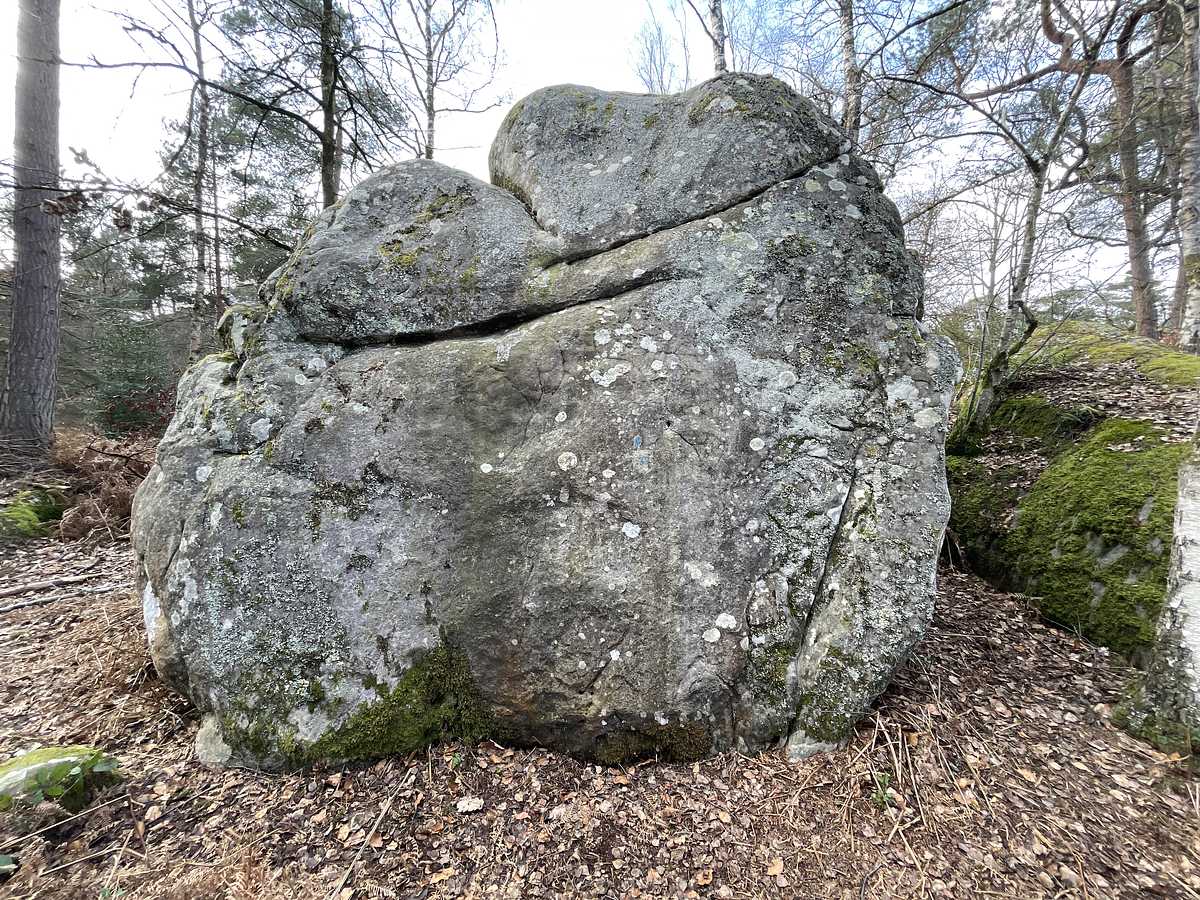 Anthologie – Rocher Canon