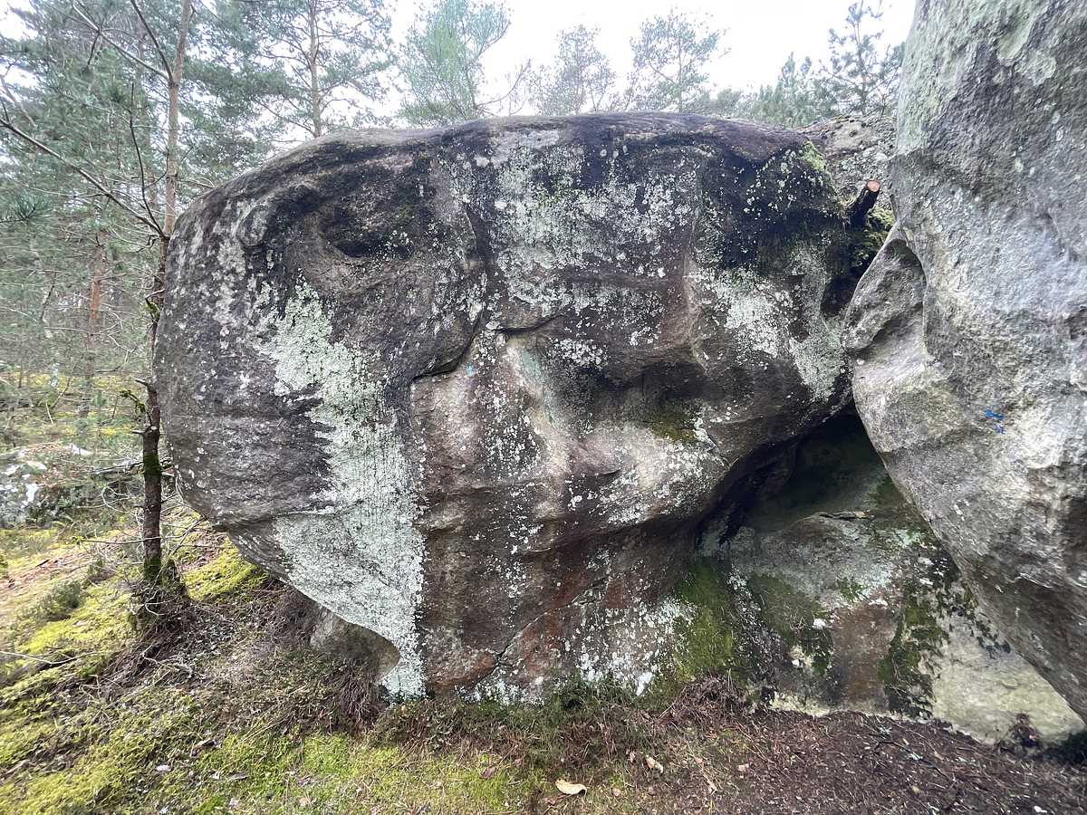 Coccyx Ultimatum – Jean des Vignes