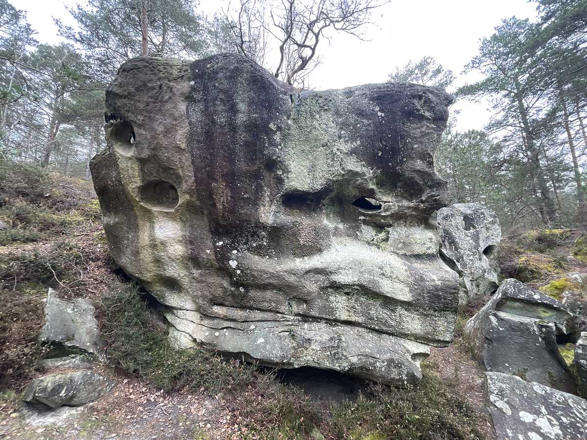 La Volte-Face – Jean des Vignes