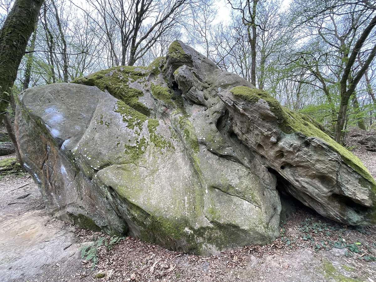 Le Guêpier – Petit Bois