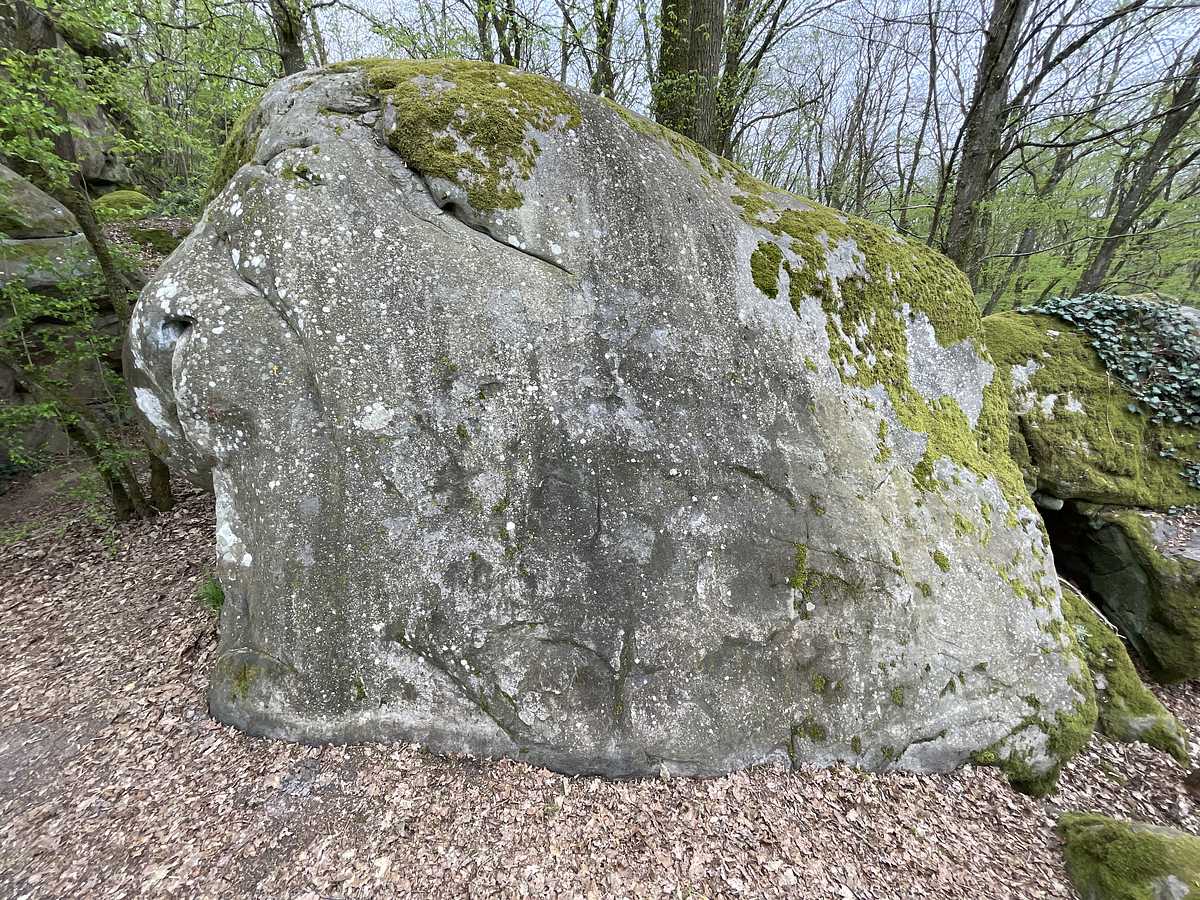 Bon Grès – Petit Bois