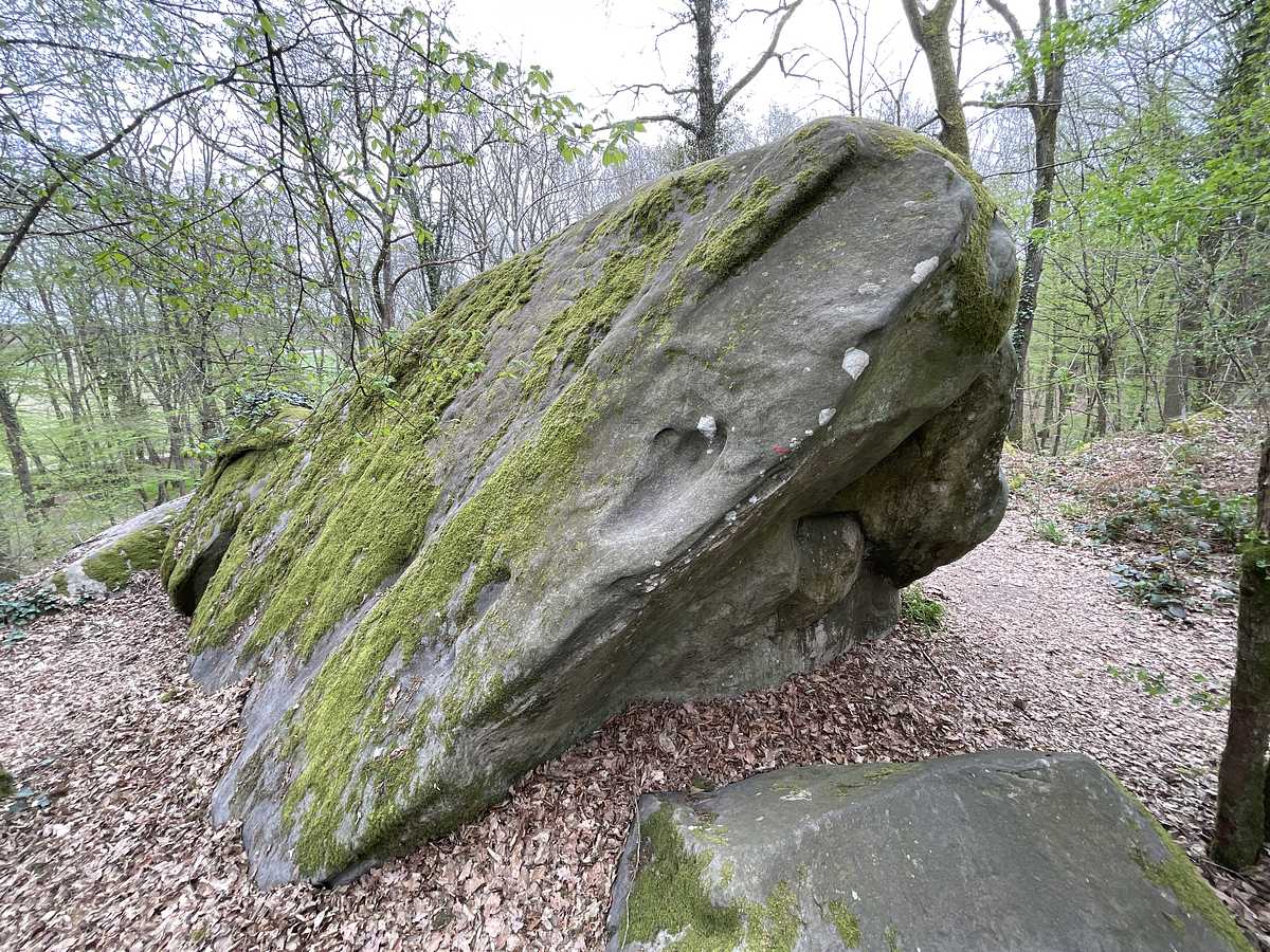 Bon Grès – Petit Bois