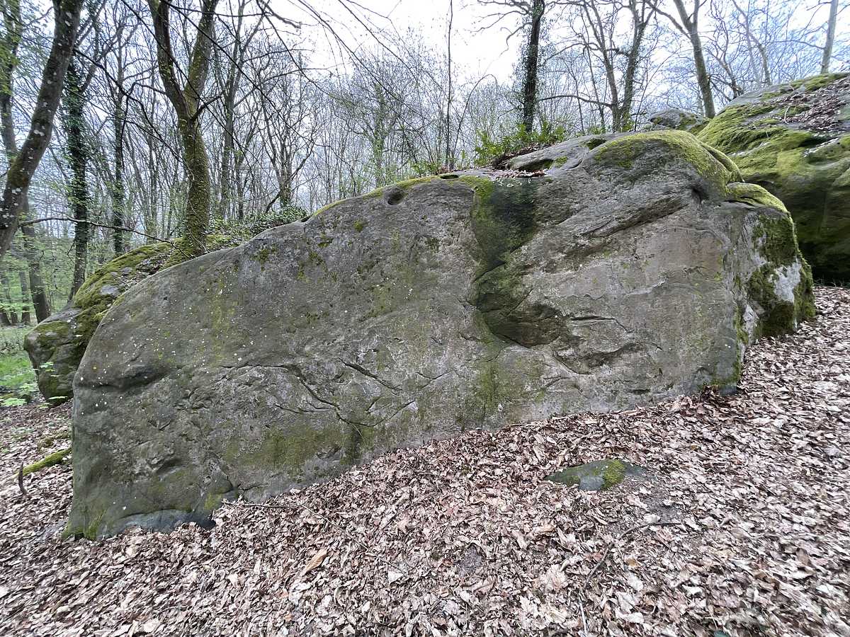 Muraille – Petit Bois