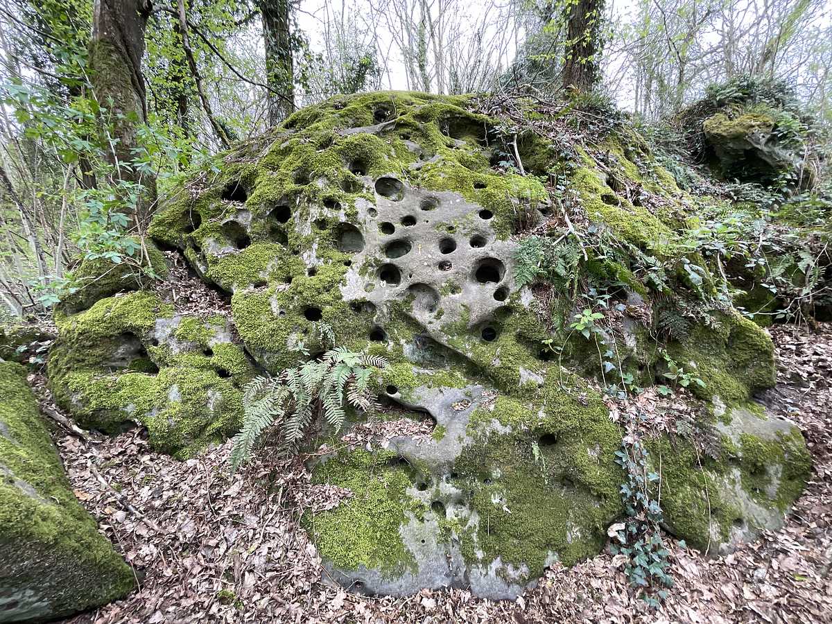Basse Énergie – Petit Bois