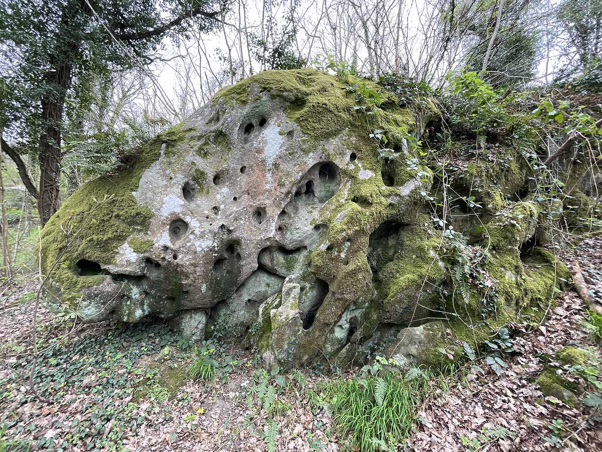 Haute Énergie – Petit Bois