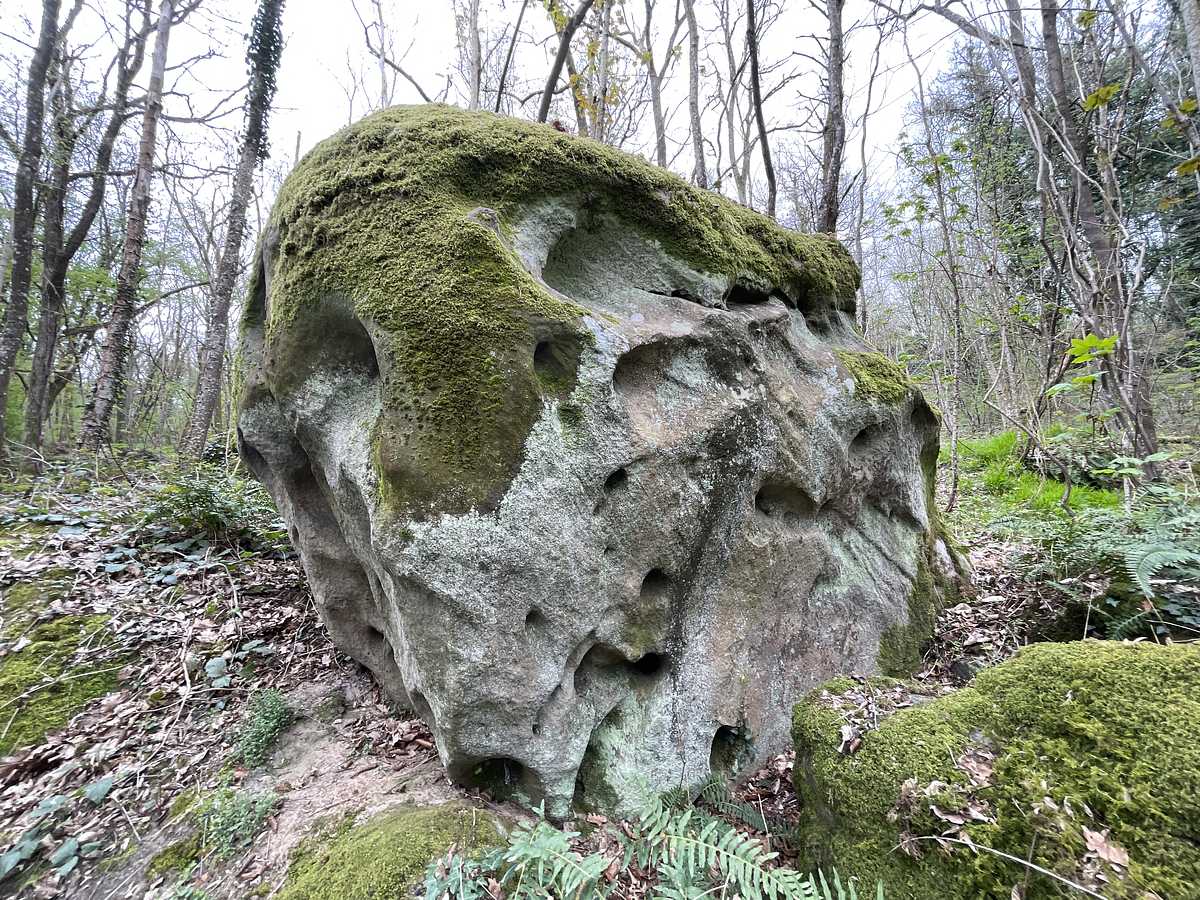 Rando Bas – Petit Bois