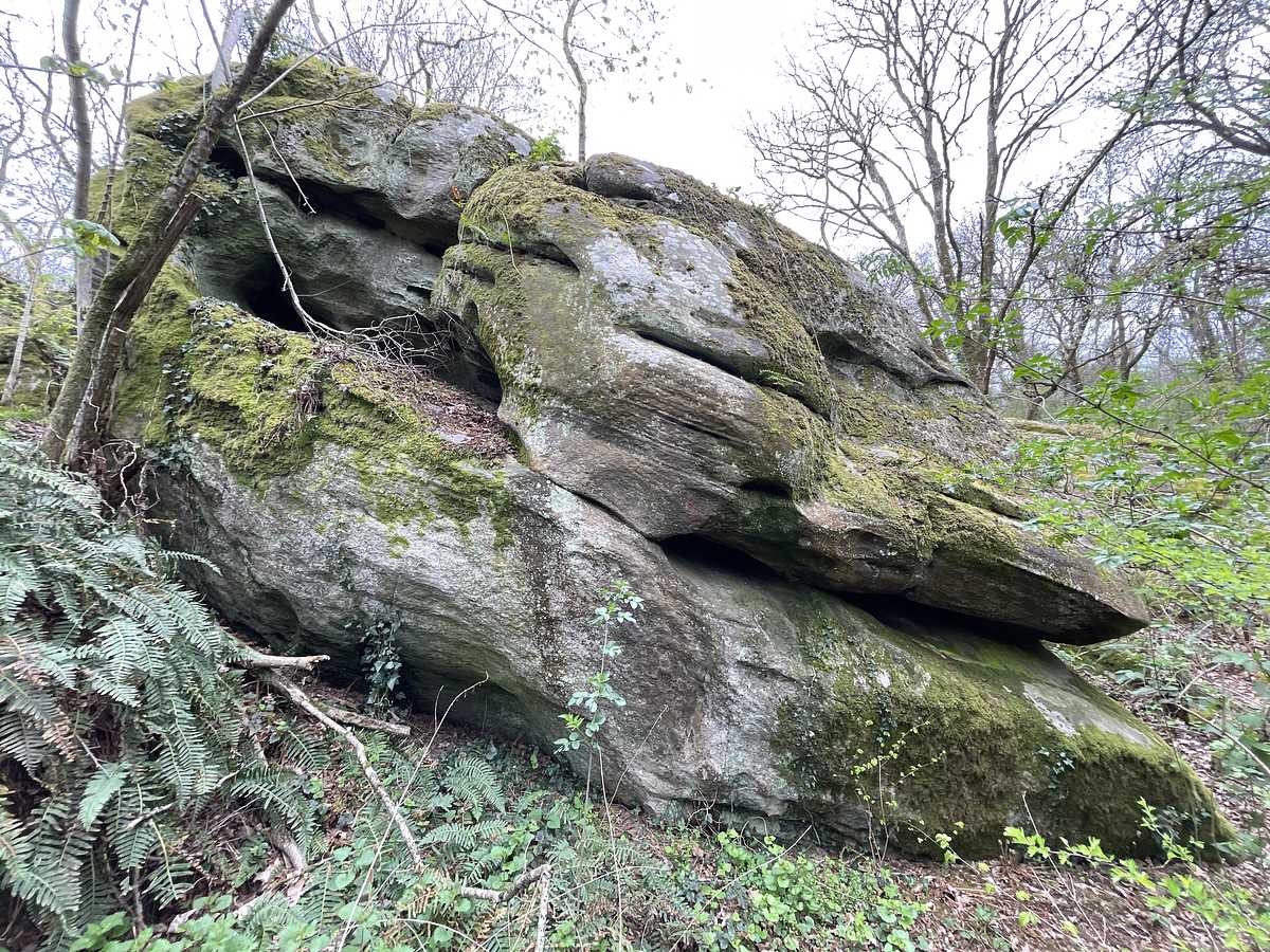 Double Bidoigt – Petit Bois