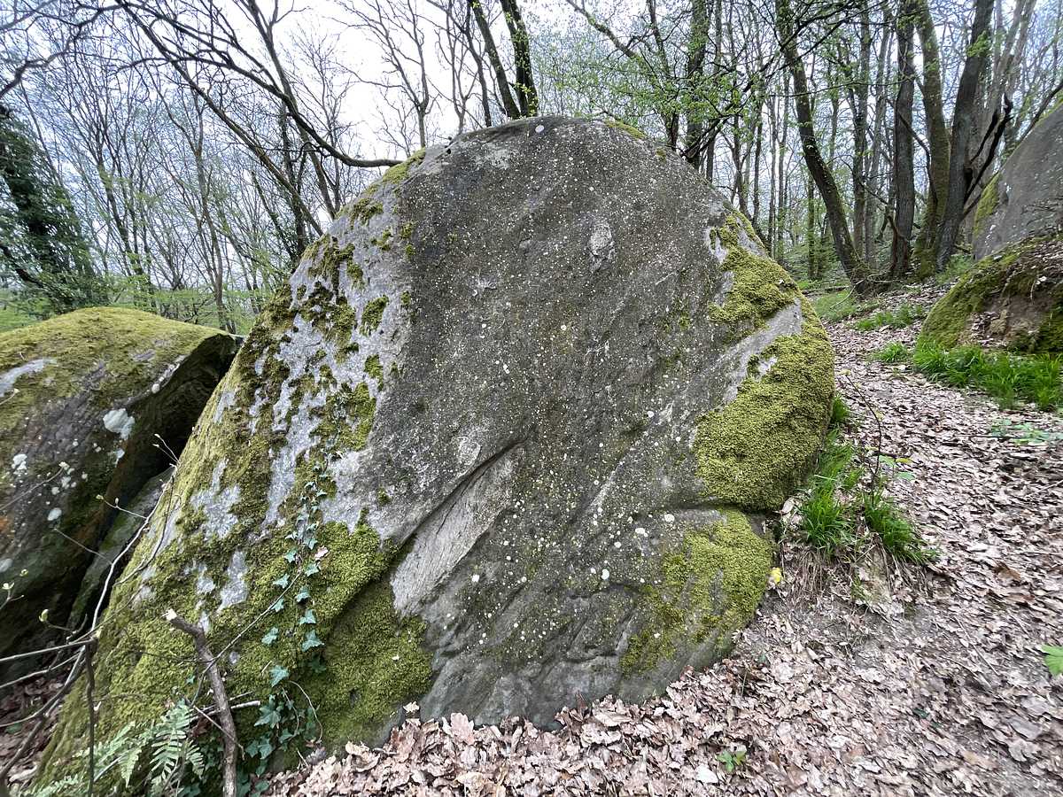 Le Mur des Nains – Petit Bois