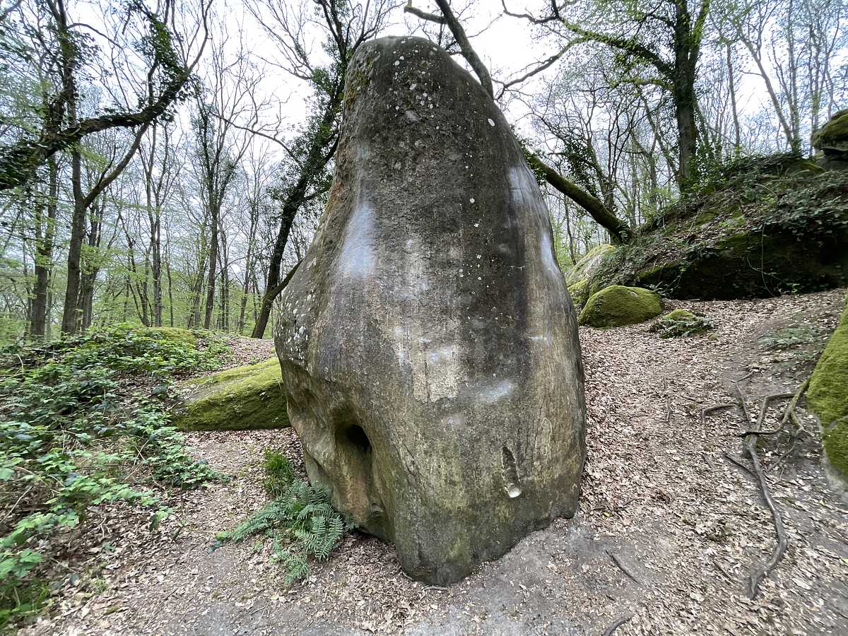 L'Œuf – Petit Bois