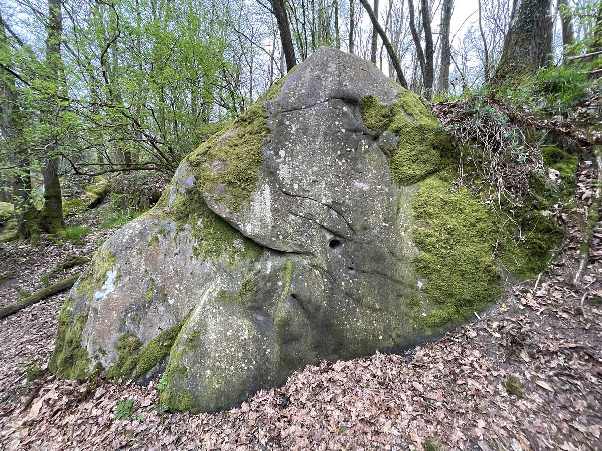 Pyramide – Petit Bois