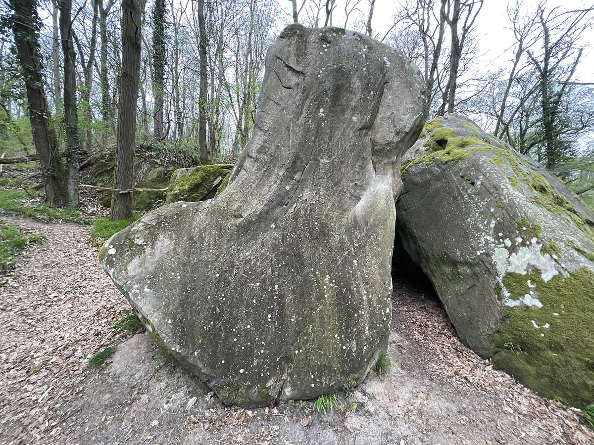 L'Os à Moelle – Petit Bois