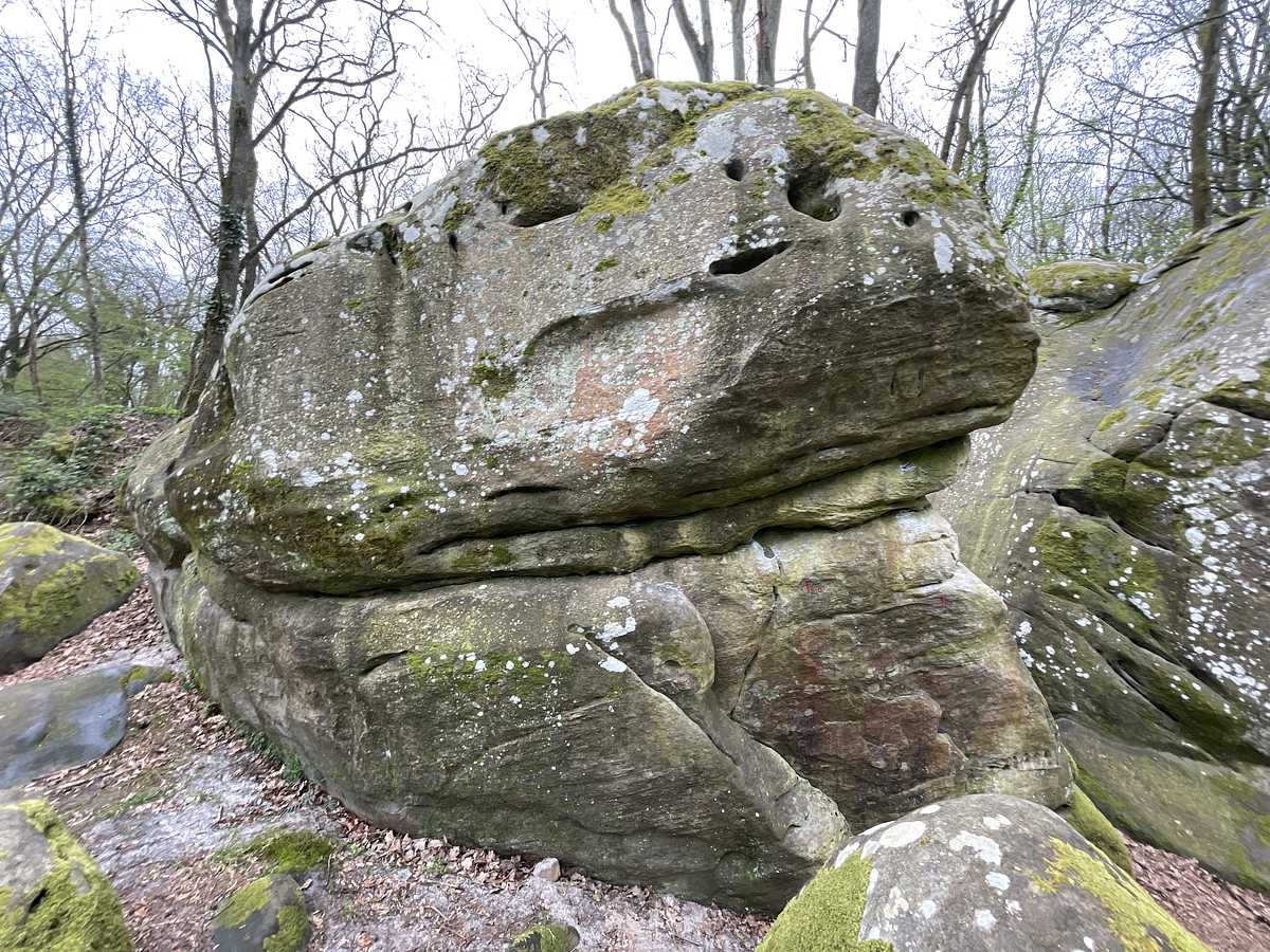 L'Allonge – Petit Bois