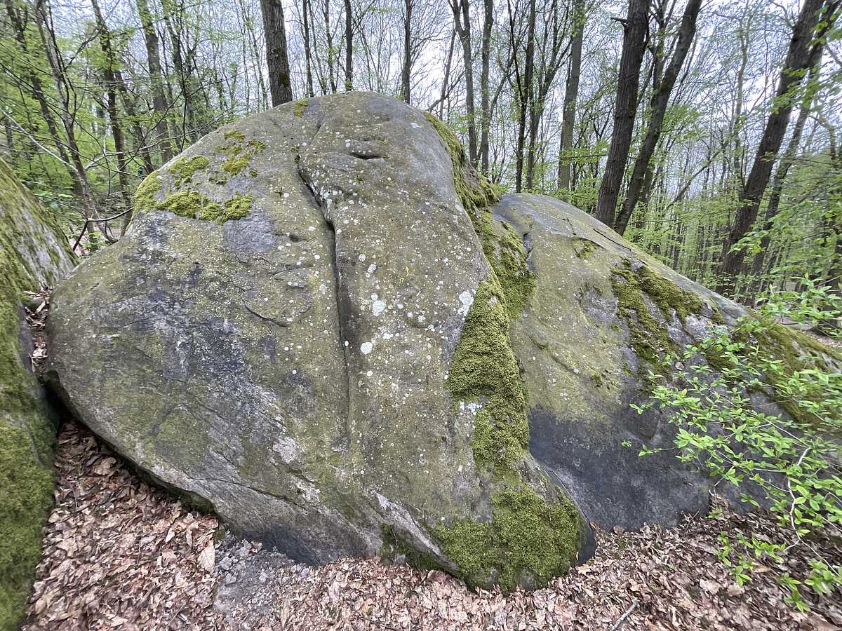 La Rampe – Petit Bois