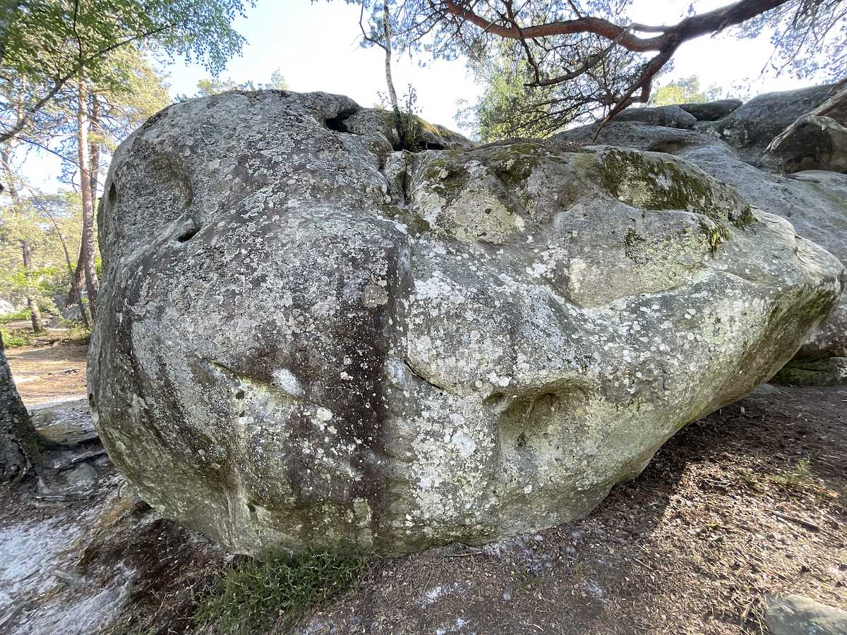 L'Oppo du Pendu – Dame Jouanne