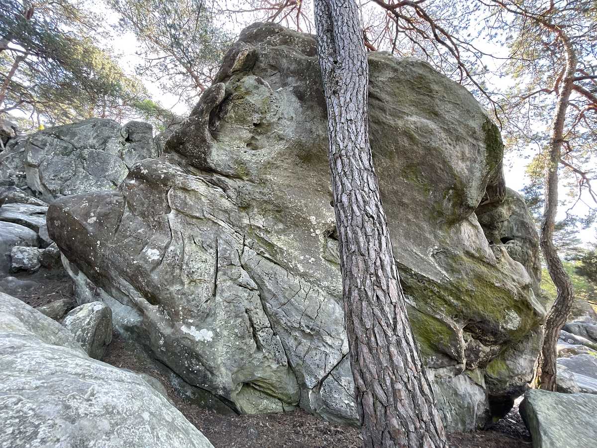 Le Gruyère – Dame Jouanne
