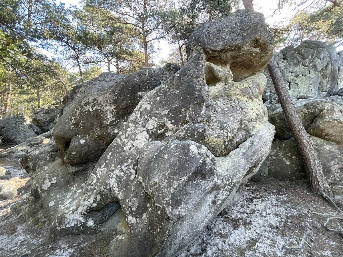 Photo du rocher avec les tracés