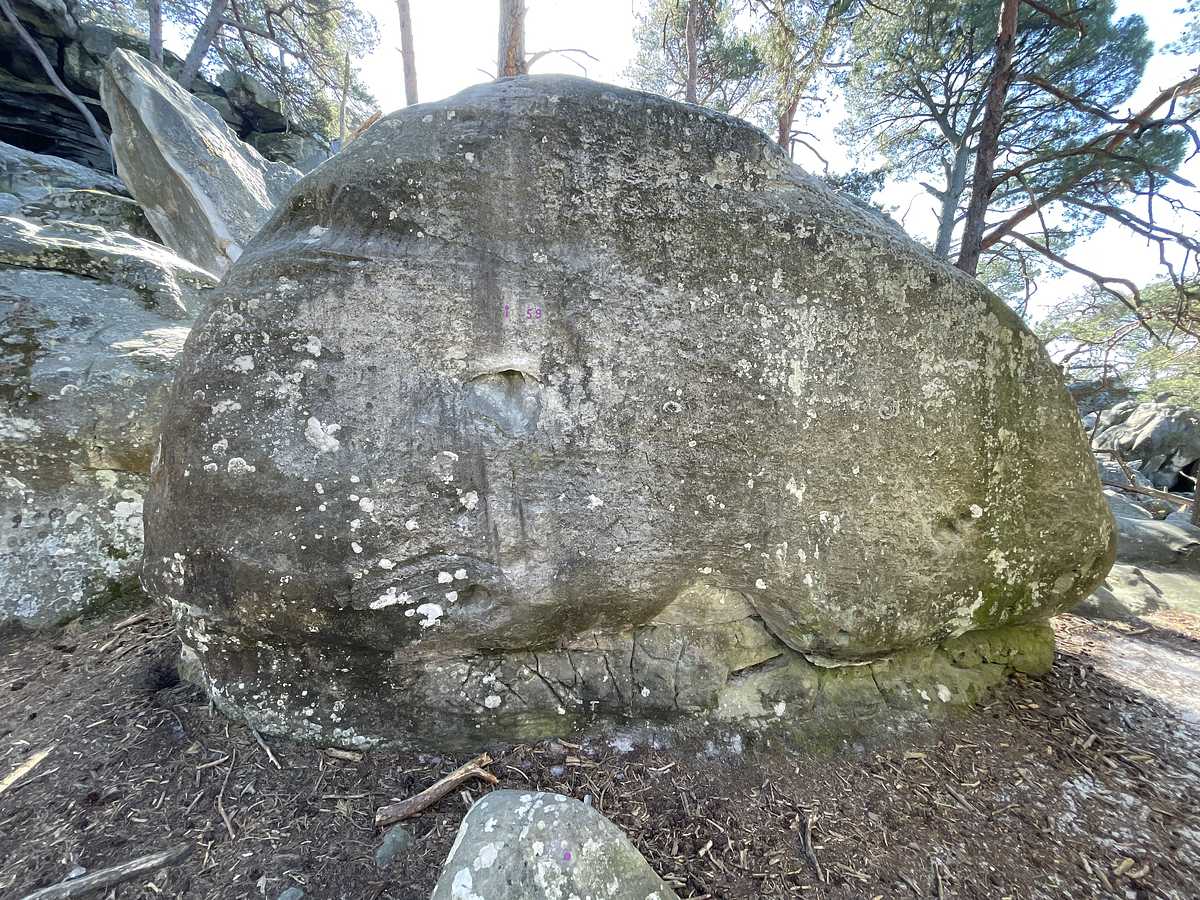 Le Face-à-Main – Dame Jouanne