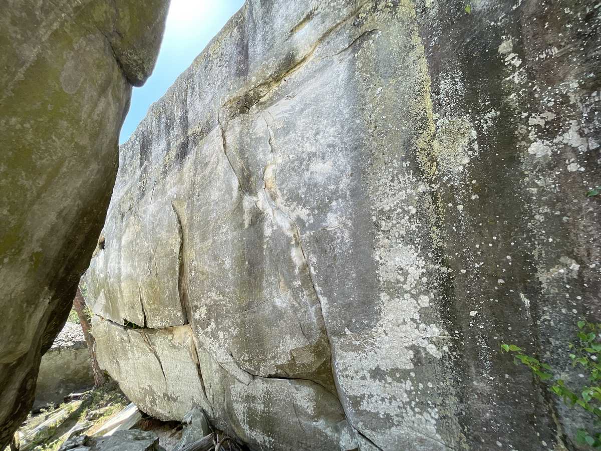 Le Mur Plus que Parfait – Dame Jouanne