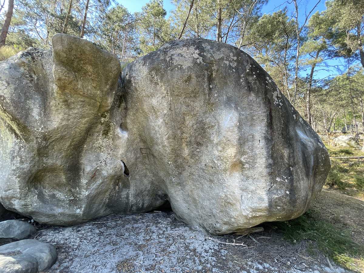 Arrêt sur Image – Secteur Dame Jouanne