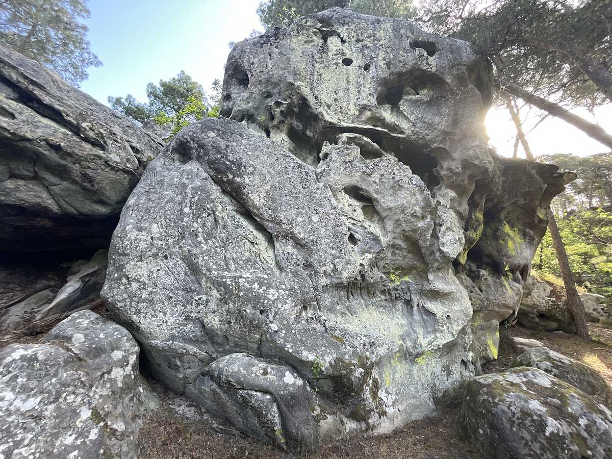 L'Aventure – Dame Jouanne