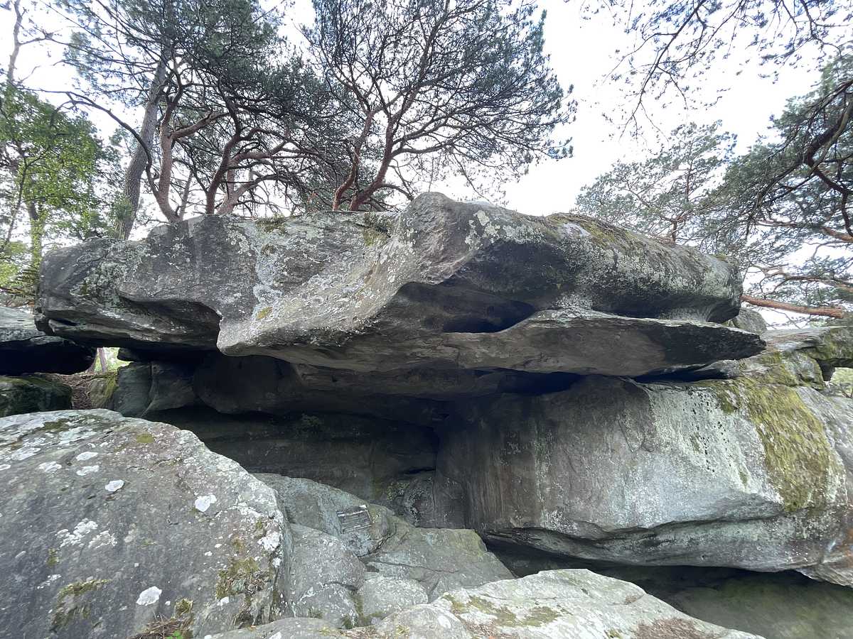 Le Toit du Koala – Dame Jouanne